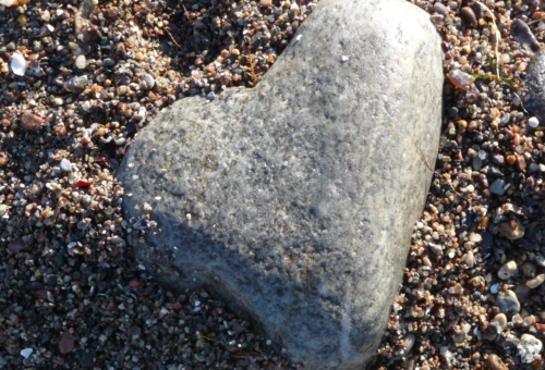 heart-340768